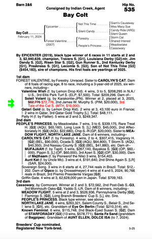 EPICENTER-FOREST VALENTINE - YEARLING (NYB)
