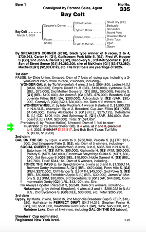 SPEAKER'S CORNER-PASSE - YEARLING (NYB)