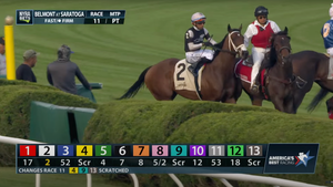 Bint Al Dandy (IRE)