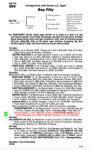 PINEHURST - IMFOREAL (2-YEAR-OLD)