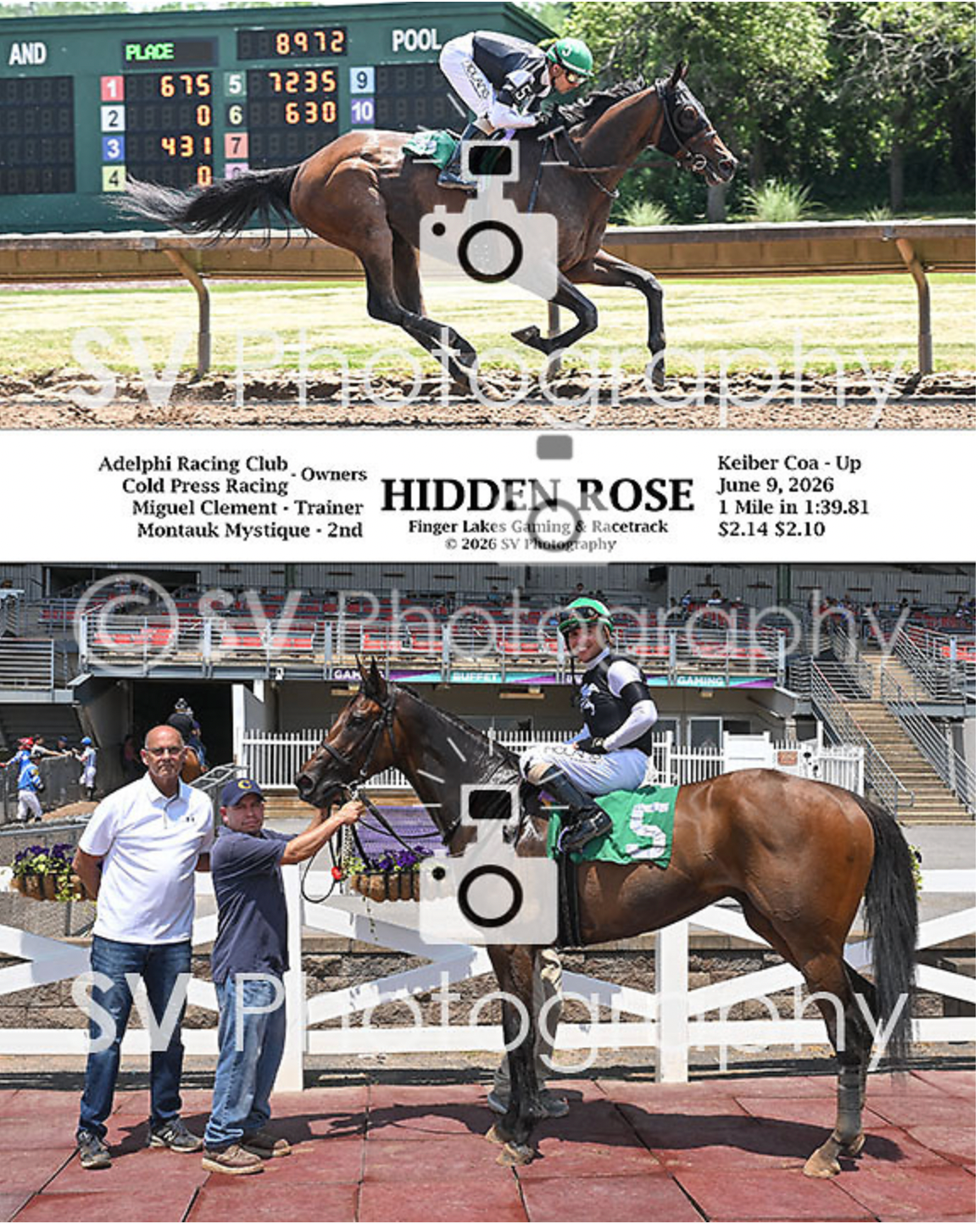 Hidden Rose 6-9-26