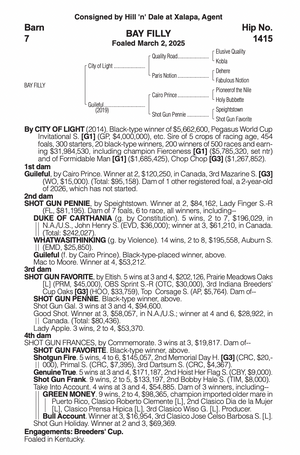 CITY OF LIGHT-GUILEFUL (YEARLING FILLY)